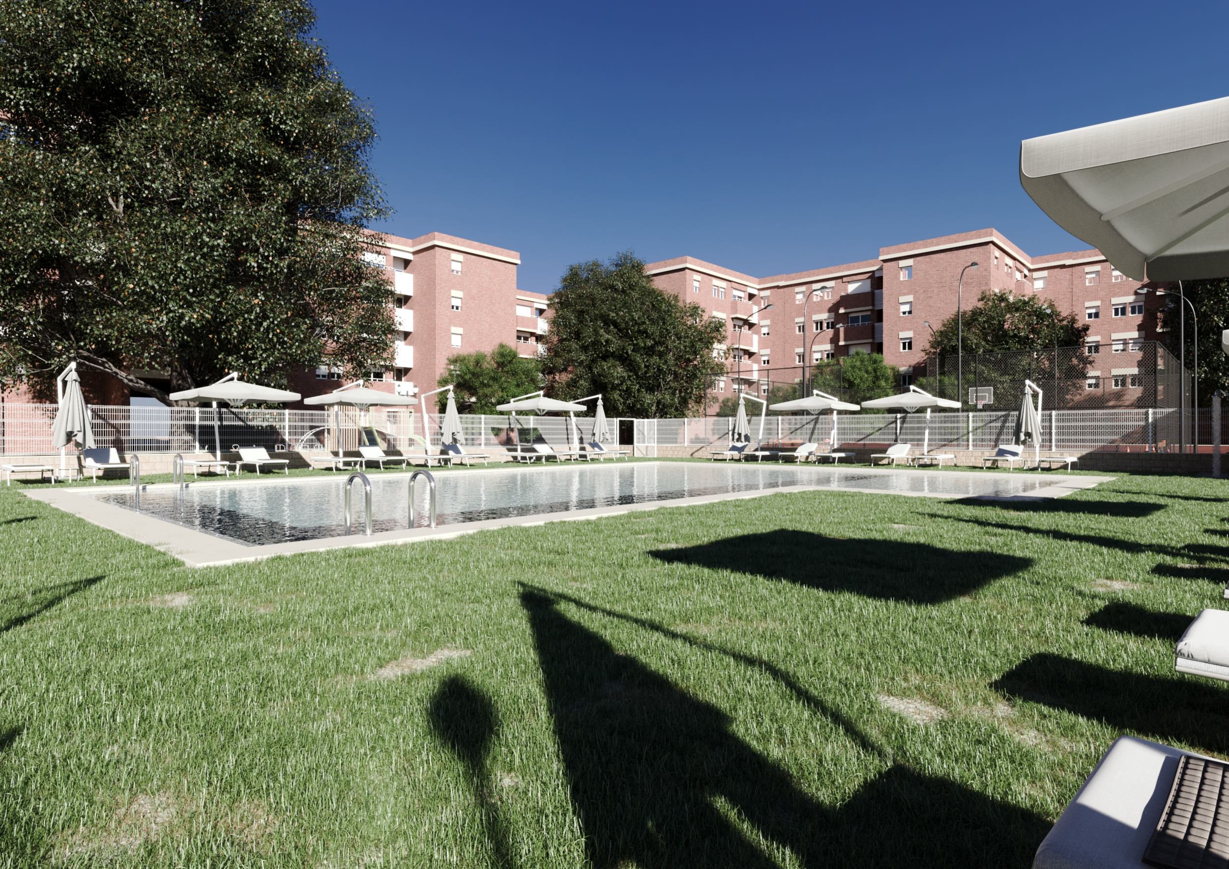 Vista cenital del vaso